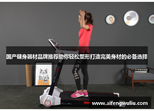 国产健身器材品牌推荐助你轻松塑形打造完美身材的必备选择