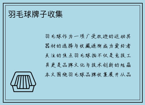 羽毛球牌子收集